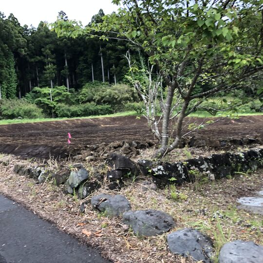 F48D73FE-D521-47D7-BE7F-8259B753289A